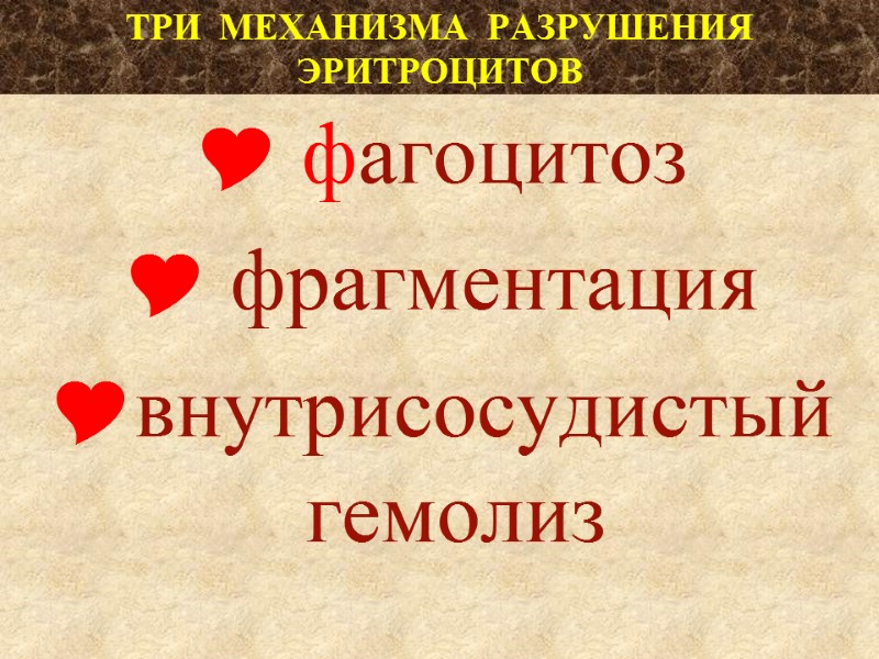 ТРИ  МЕХАНИЗМА  РАЗРУШЕНИЯ  ЭРИТРОЦИТОВ  фагоцитоз  фрагментация внутрисосудистый гемолиз